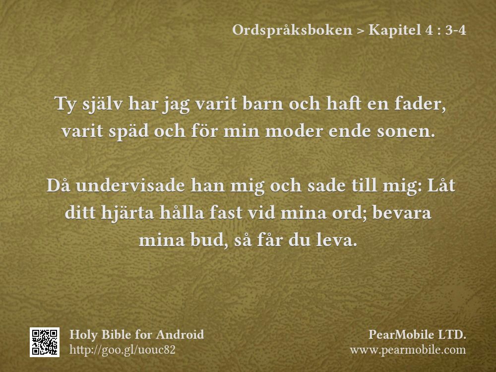 Ordspråksboken, Kapitel 4:3-4